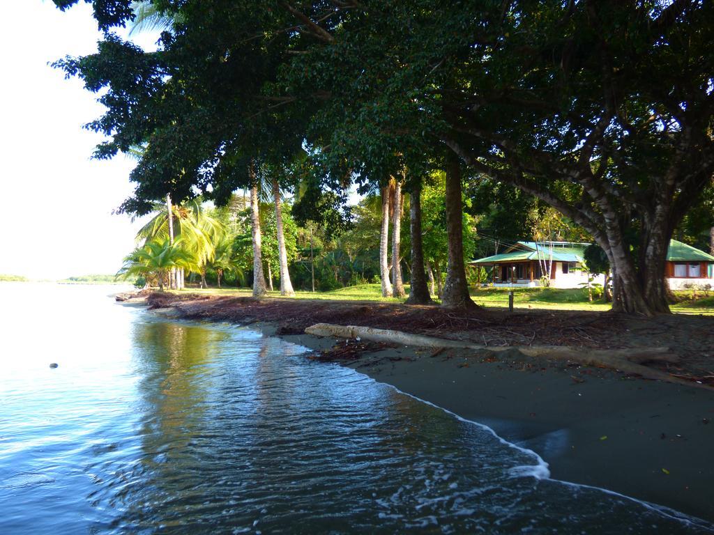 Corcovado Beach Lodge Puerto Jiménez Zewnętrze zdjęcie