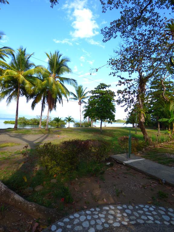 Corcovado Beach Lodge Puerto Jiménez Zewnętrze zdjęcie