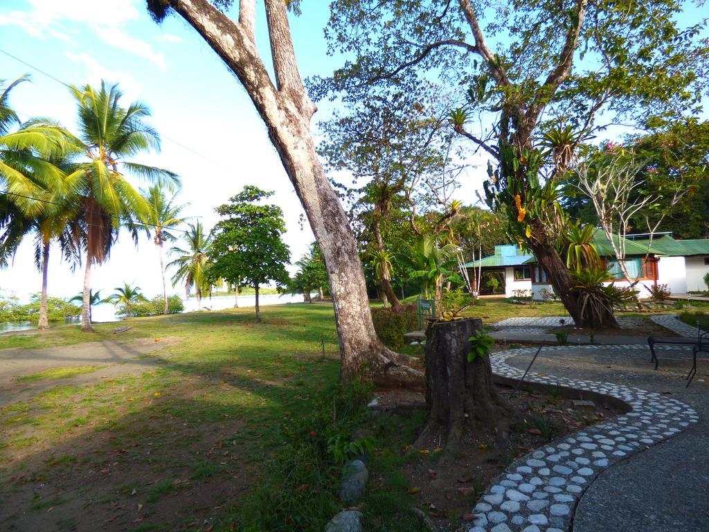 Corcovado Beach Lodge Puerto Jiménez Zewnętrze zdjęcie