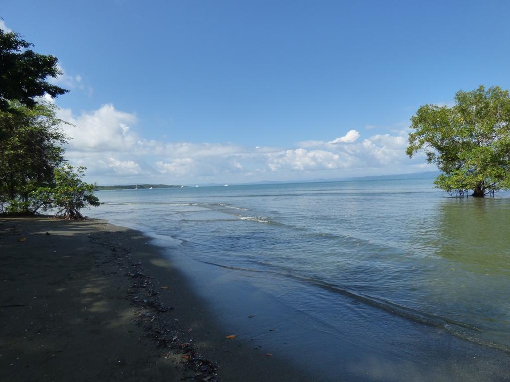 Corcovado Beach Lodge Puerto Jiménez Zewnętrze zdjęcie
