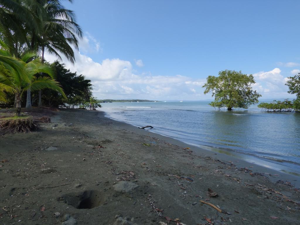 Corcovado Beach Lodge Puerto Jiménez Zewnętrze zdjęcie