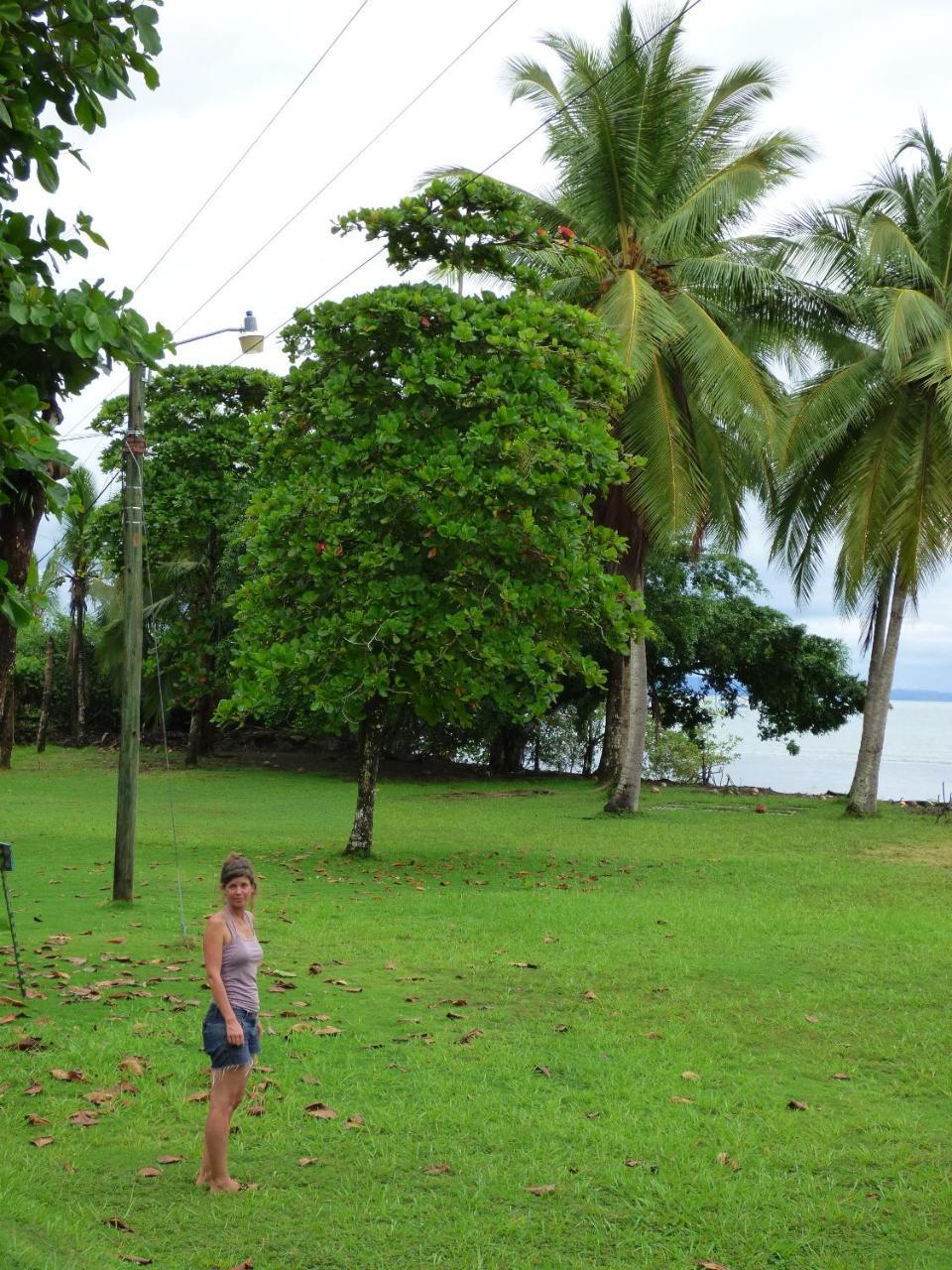 Corcovado Beach Lodge Puerto Jiménez Zewnętrze zdjęcie
